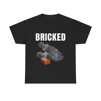 Bricked funny cat shirt